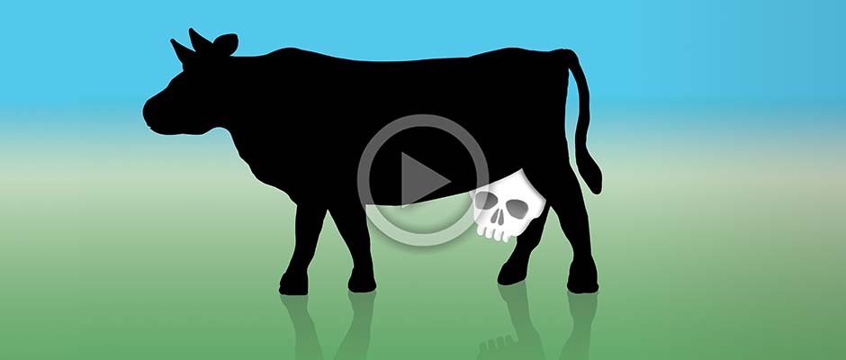 Is Dairy Really Good for Your Bones Is Dairy Really Good for Your Bones