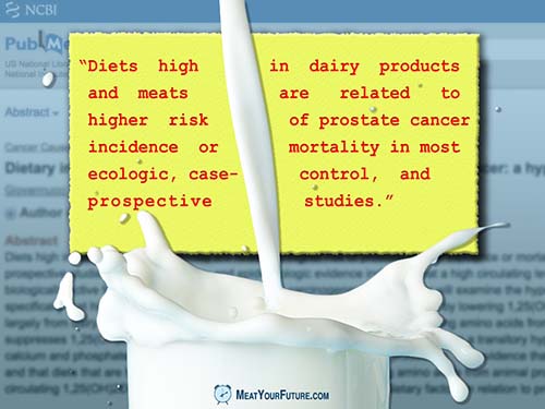 Dairy Products And Prostate Cancer