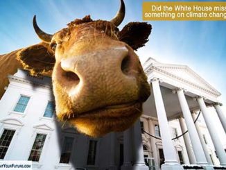 Did the White House ignore animal agriculture's impact on climate change? | Meat Your Future