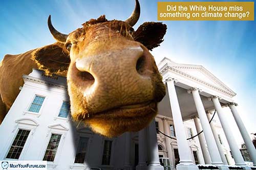 Did the White House ignore animal agriculture's impact on climate change? | Meat Your Future