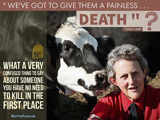 Temple Grandin has a very confusing message about animals | Meat Your Future