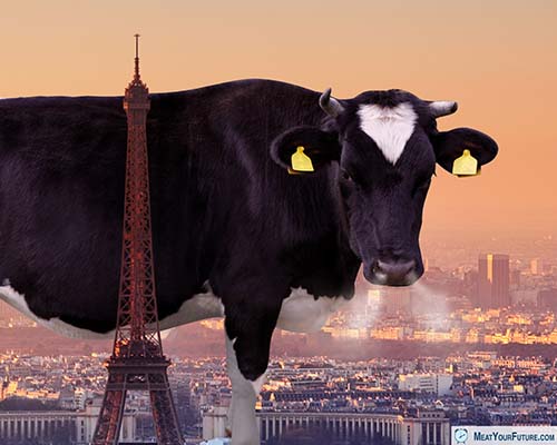 The Paris COP21 conference failed to address the enormous conitrbution that the livestock sector has dirving climate change| Meat Your Future