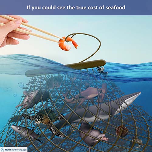 The Real Cost of Seafood | Meat Your Future