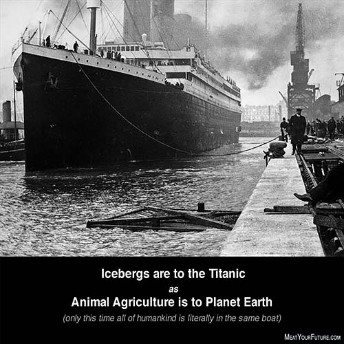 The Titanic and Animal Agriculture | Meat Your Future