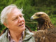 Sir David Attenborough | Meat Your Future