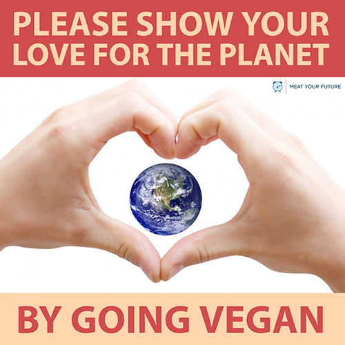 Go Vegan For the Planet | Meat Your Future