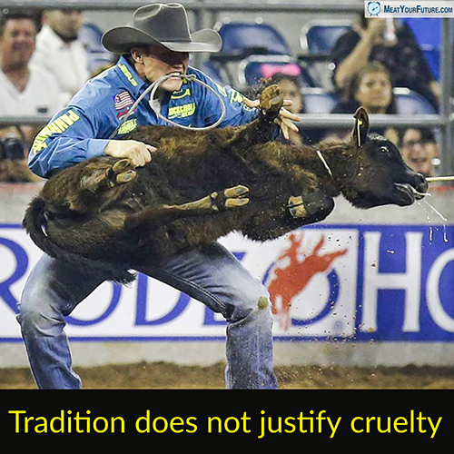 Rodeos - Tradition does Not Justify Cruelty | Meat Your Future