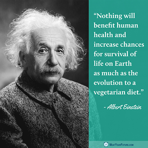 Albert Einstein | Meat Your Future