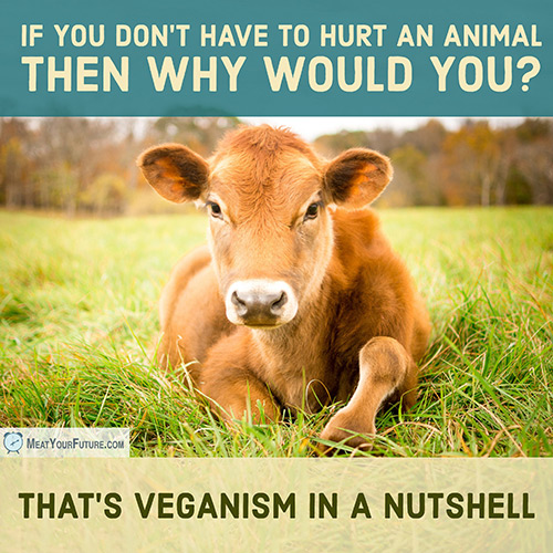 If You Don't Have to Hurt An Animal Then Why Would You? | Meat Your Future