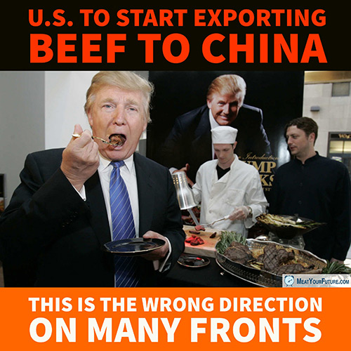 US to Start Importing Beef to China | Meat Your Future