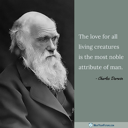 The love for all living creatures is the most nobel attribute of man. -Charles Darwin