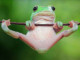 Who Cares if Frogs Go Extinct? | Meat Your Future