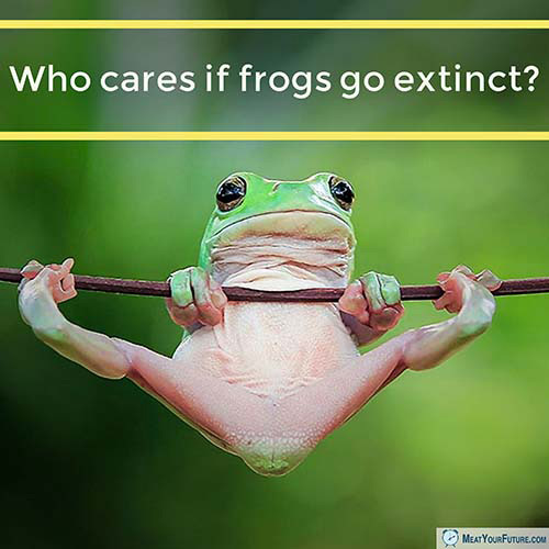 Who Cares if Frogs Go Extinct? | Meat Your Future