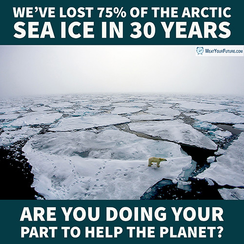 75% Arctic Ice Loss | Meat Your Future