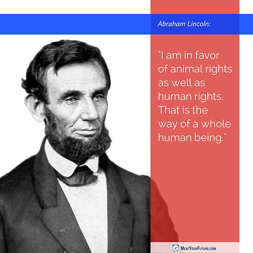 I am in favor of animal rights as well as human rights - Abraham Lincoln