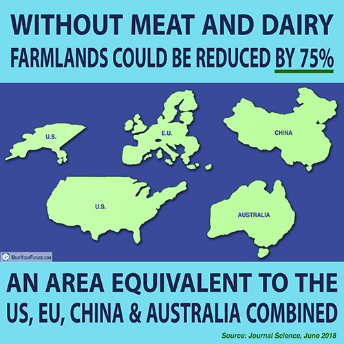 Without Meat and Dairy Farmlands Could be Reduced by 75% | Meat Your Future