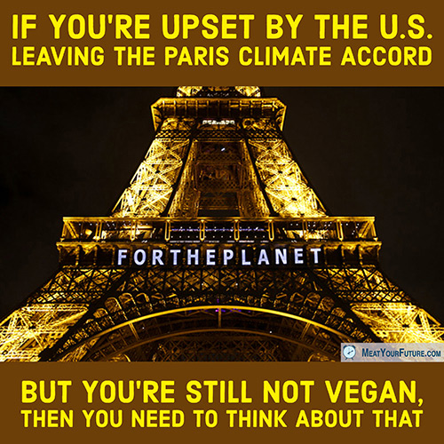 If You're Upset by the U.S. Leaving the Paris Climate Accord, But You're Still Not Vegan, Then You Need to Think About That | Meat Your Future