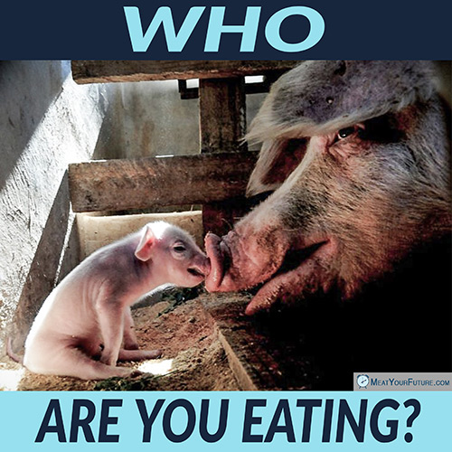 WHO Are You Eating? | Meat Your Future