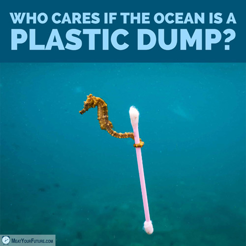 Who Cares if the Ocean is a Plastic Dump? | Meat Your Future