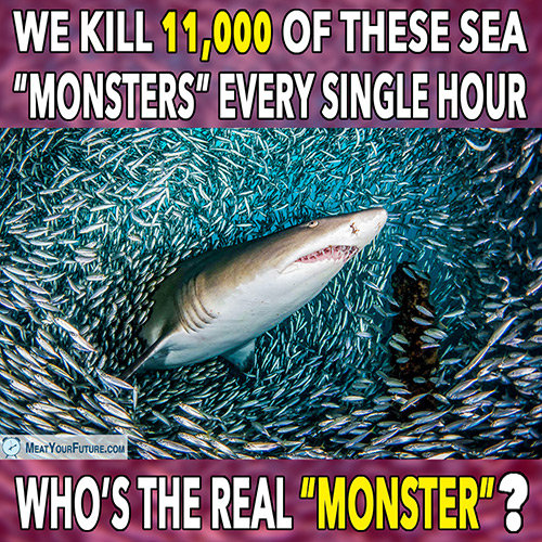 We Kill 11,000 of These Sea "Monsters" Every Hour - Who's the Real "Monster"? | Meat Your Future