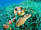 Do you enjoy eating endangered sea turtles with your shrimp? | Meat Your Future