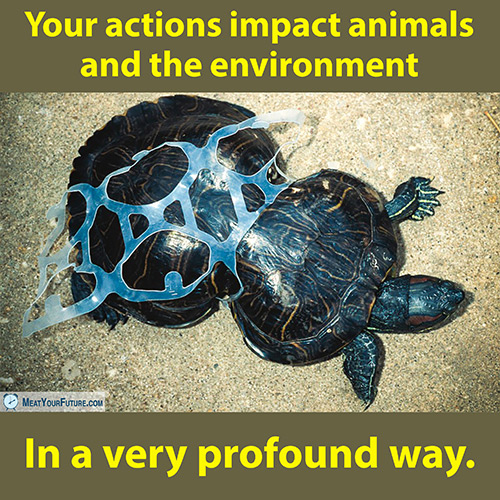 Your Actions Impact Animals and the Environment | Meat Your Future