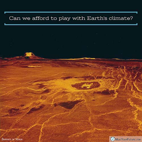 Can we afford to play with Earth's climate? | Meat Your Future