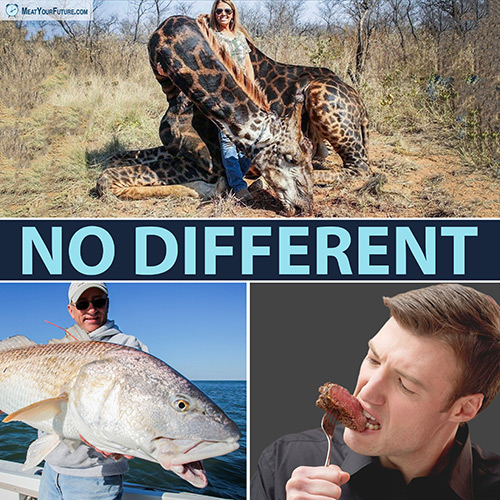 Trophy Hunting versus Eating Animals - What's the Difference? | Meat Your Future