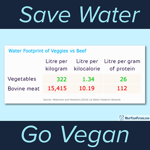 Save Water - Go Vegan | Meat Your Future