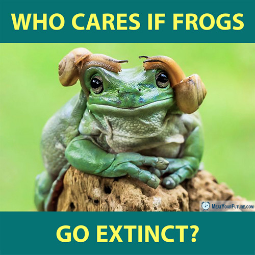 Who Cares If Frogs Go Extinct? | Meat Your Future