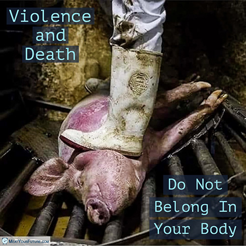 Death and Violence Do Not Belong in Your Body | Meat Your Future