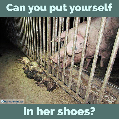 Can You Put Yourself in Her Shoes? | Meat Your Future