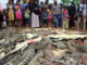 Mob Kills Nearly 300 Crocodiles as "Revenge Killings" | Meat Your Future