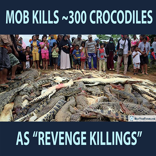 Mob Kills Nearly 300 Crocodiles as "Revenge Killings" | Meat Your Future