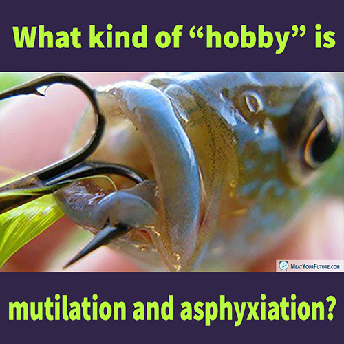 What Kind of "Hobby" is Fishing? | Meat Your Future