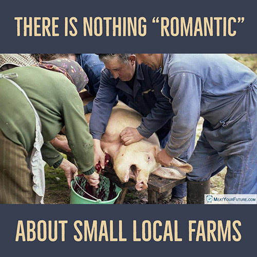 There is Nothing "Romantic" About Small Local Farms | Meat Your Future