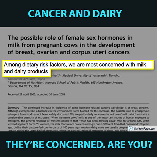 Cancer and Dairy: Experts Are Concerned. Are You? | Meat Your Future