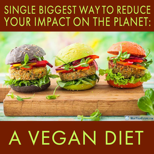 Single Biggest Way to Reduce Your Impact on the Planet: A Vegan Diet | Meat Your Future