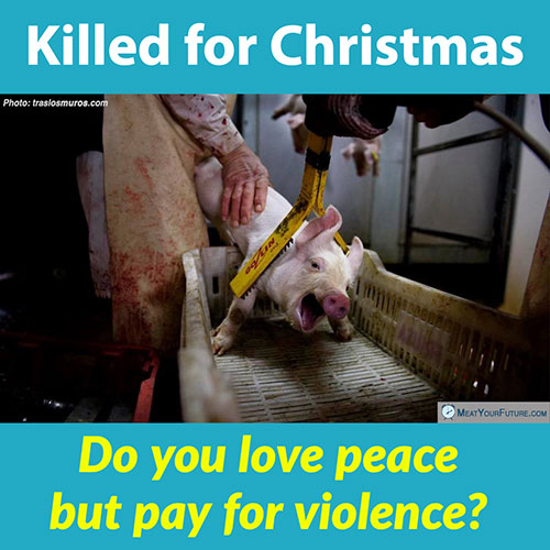 Do You Love Peace But Pay For Violence? | Meat Your Future