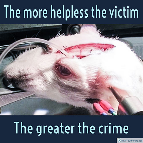 The More Helpless the Victim, the Greater the Crime | Meat Your Future