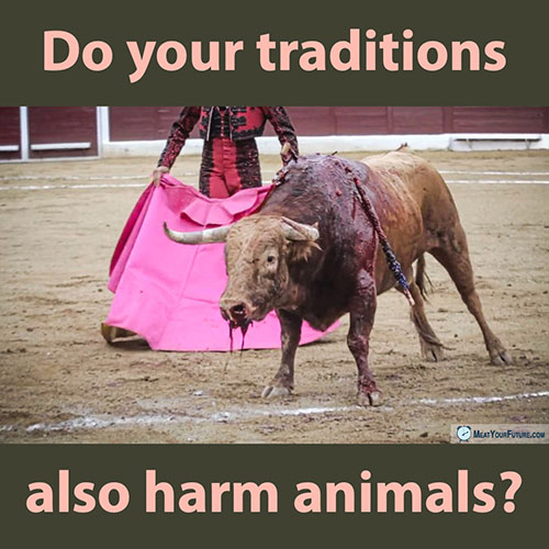 Do Your Traditions Also Harm Animals? | Meat Your Future