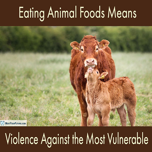 Eating Animal Foods Means Violence Against the Most Vulnerable | Meat Your Future