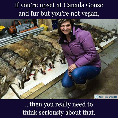 Upset at Canada Goose but not Vegan? | Meat Your Future