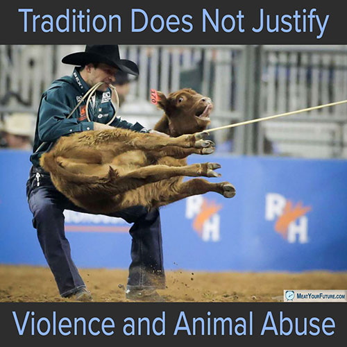 Tradition Does Not Justify Violence and Animal Abuse | Meat Your Future