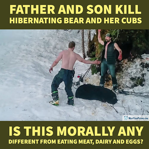 Father and Son Kill Hibernating Bear and Cubs | Meat Your Future