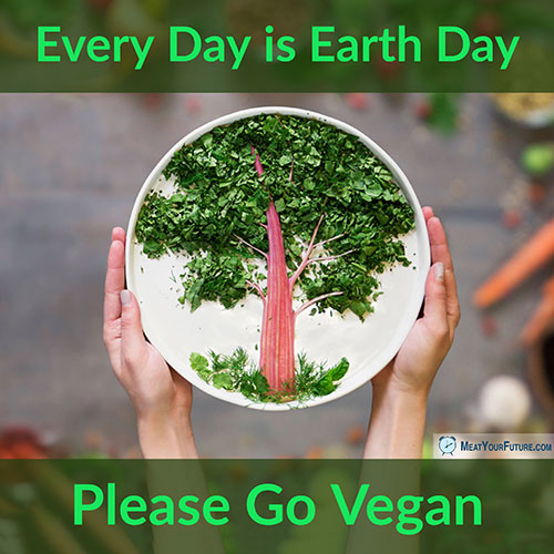 Every Day is Earth Day - Please Go Vegan | Meat Your Future