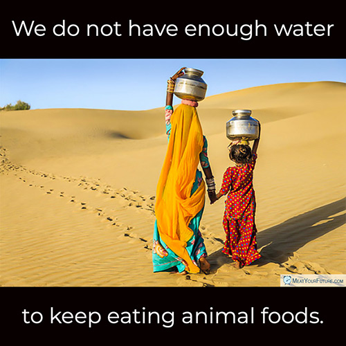 We Do Not Have Enough Water To Keep Eating Animal Foods | Meat Your Future