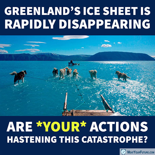 Greenland's Ice Sheet Is Rapidly Disappearing | Meat Your Future